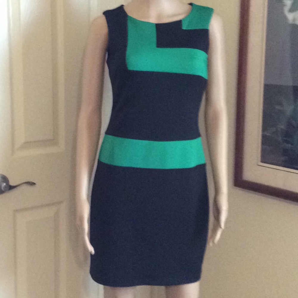 Enfocus Petite Dress Sz 4P